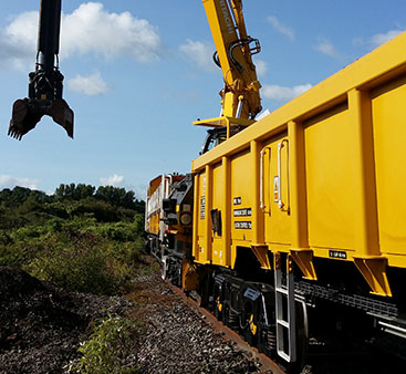 On Track Plant